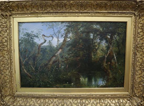 Edmund John Niemann (1813-1876), oil on canvas, Study of a woodland pool, inscribed on stretcher, 36 x 58cm